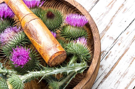 milk thistle flowers in a wooden bowl