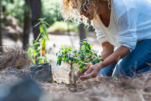 woman planting tree in celebration of earth day