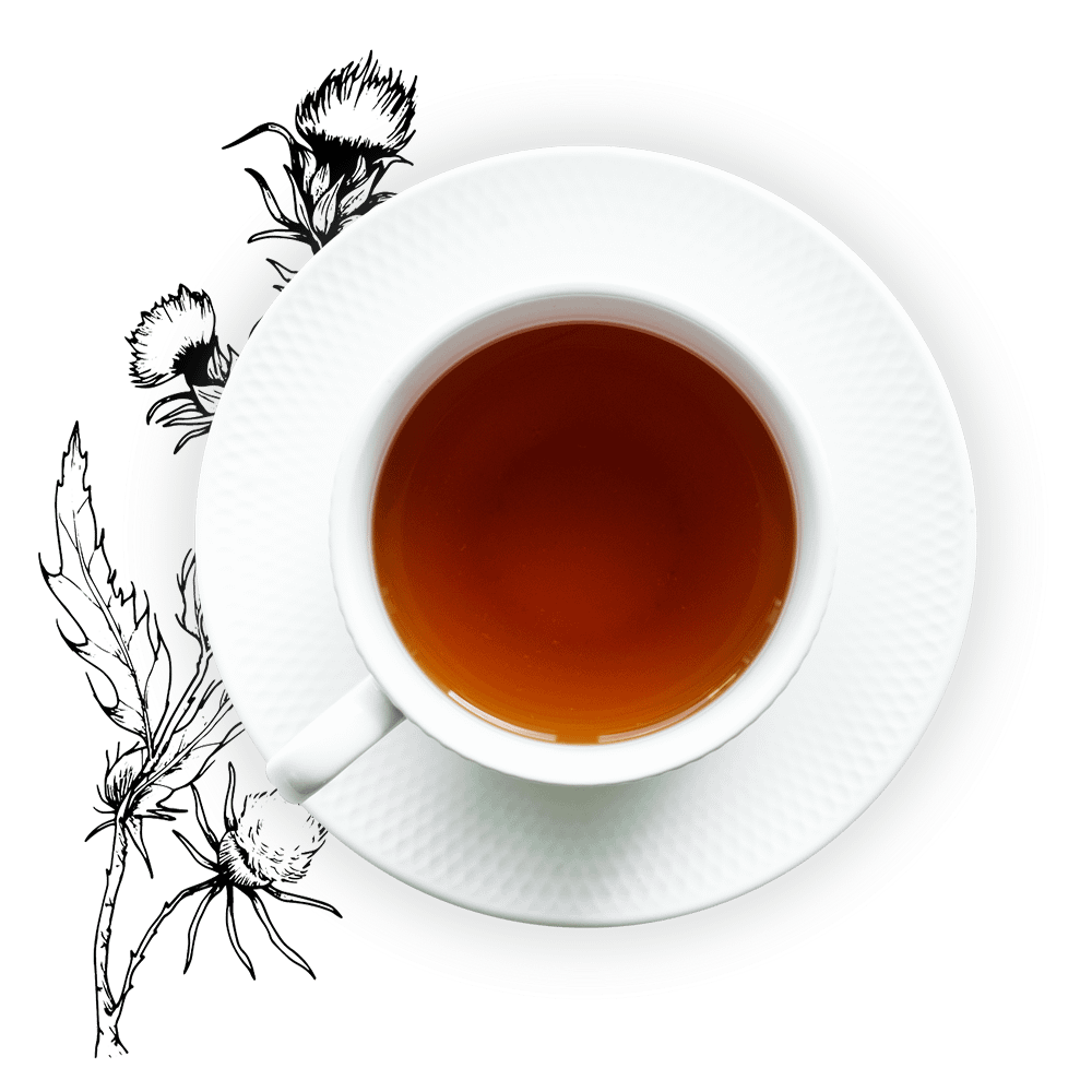 milkthisle_with_tea